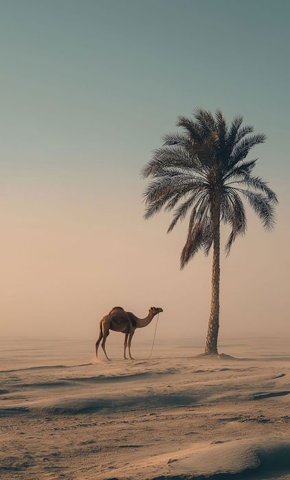 Artwork by Mustafa Werekia - Desert